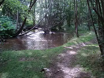 Chemins de l'Astrée, Le Lignon du Forez
