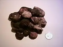 Chuño, dit aussi chuño noir.