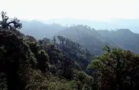 Xian autonome miao, yao et dai de Jinping