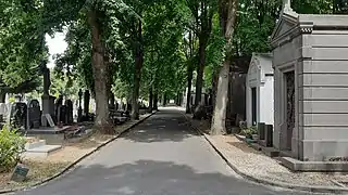 Allée du cimetière de Roubaix.