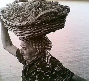 Vendangeuse et son panier de raisins