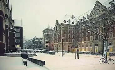 Février 2009, temps de neige sur le parc.