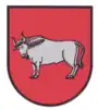 Blason de Lypovets