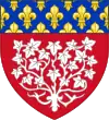 Blason de Amiens