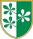 Blason de Kidričevo