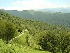 Vue sur la route dans le dernier kilomètre à découvert, avec des champs de fougères. Plus loin au centre-gauche La Ruère et ses prairies (1 326 m).