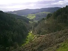 La vallée de l'Azergues et plus haut le bois de Pramenoux vus depuis la route du col.