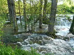 Les cascades du Coly.