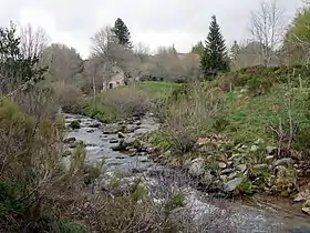 Confluence de l'Aigue Nègre (à gauche) et de la Loire (à droite) au printemps.