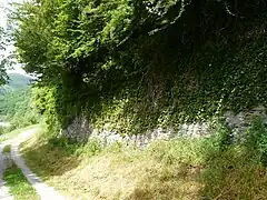 Vestiges du mur d'enceinte du prieuré de Port-Dieu.