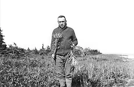 Frère Marie-Victorin (1885-1944), archipel de Mingan 1928, en main, le C. minganense (grande plante pâle, à capitules ramassés en une masse dépassée par les feuilles,