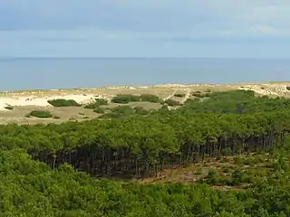 La lette (dépression à l'arrière du cordon dunaire)