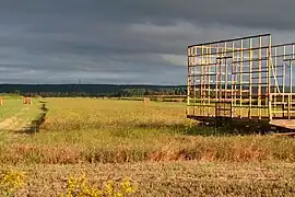 Cordon d'en bas, harvest