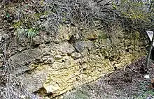 couche calcaire du Jurassique inférieur