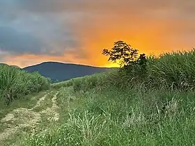 Vue d'un coucher de soleil sur le Petit Belvédère depuis un chemin à Bellevue sur la commune de Sainte-Rose.