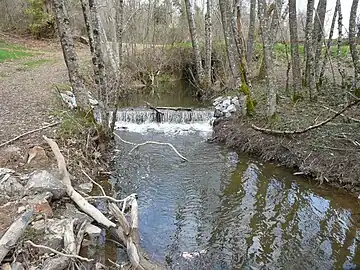 Le Coulon en lilmite d'Angoisse et de Payzac.