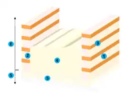 dessin d'une coupe de la muraille montrant sa structure ; la légende est détaillée ci-après