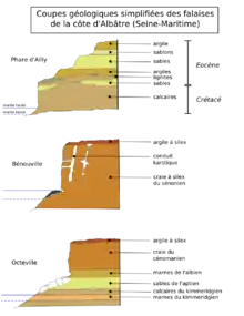 Coupes géologiques de plusieurs falaises.