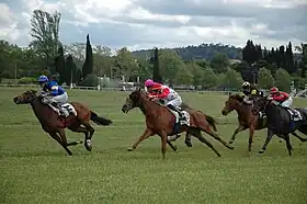 Image illustrative de l’article Hippodrome de la Fajeolle