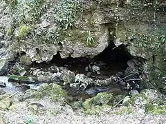 Une perte (la Couze).