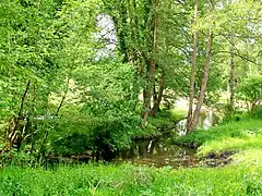 La Thève dans les prairies en aval des étangs de Commelles.