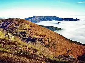 Vue depuis la tête des Perches du massif du Rossberg.