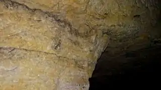 Traces sous plafond de l’inondation de 1911.