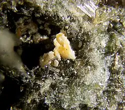 Image illustrative de l’article Cuspidine