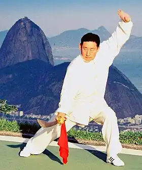 Image illustrative de l’article Chen Xiaowang