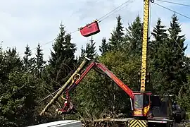 Chantier de restauration de la chaume sommitale en 2014 : débardage des épicéas par câble.