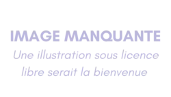 Image illustrative de l’article Apolline de Malherbe