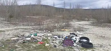 Les berges ouest de l'étang sont polluées par des ordures.