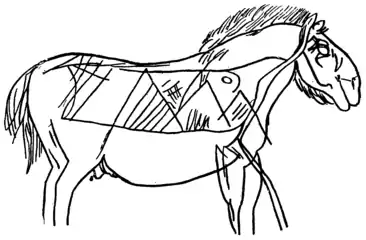 Gravure de cheval.