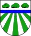 Blason de Steenfeld