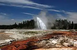 Éruption de Daisy en 2008.