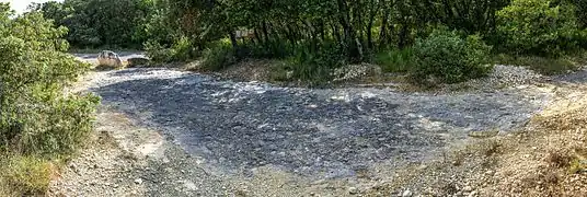 Dalle à empreintes.