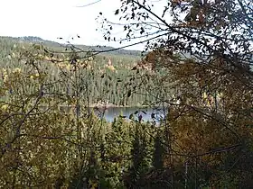 Image illustrative de l’article Damtjern