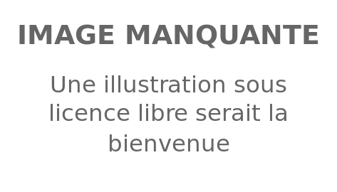 René Billères (1954-1955)