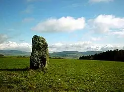 Image illustrative de l’article Menhir de Degernau