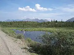 Le long de Denali Highway