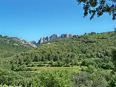 Dentelles sarrasines vues de la chapelle Saint-Cosme et Saint-Damien à Gigondas.