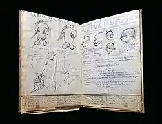 La « Page de Causse » et la « Page de la femme ».