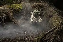 Statue représentant un individu vert de petite taille au milieu d'un décor de marécage