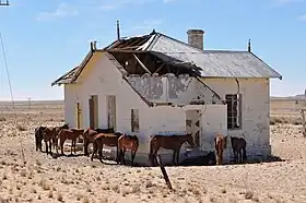 Chevaux sauvages près de la gare désaffectée de Garub.