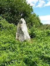Menhirs de Kergoff