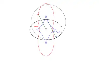 Une ellipse, sa développée (en bleu) et sa radiale (en rouge)