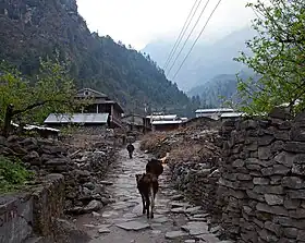 Dharapani (Manang)