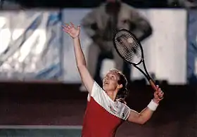 Image illustrative de l’article Dianne Fromholtz