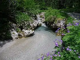 Image illustrative de l’article Dießbach (Saalach)