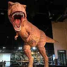 Essai de reconstitution d'un Siamotyrannus au พิพิธภัณฑ์สิรินธร, Sirindhorn Museum, Kalasin, Thaïlande.